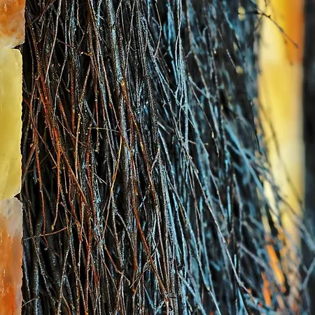 Ferienpark Amberia Grzybowo (West Pomeranian)