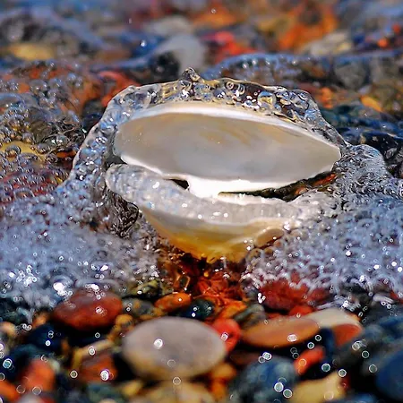 База отдыха Amberia 3*