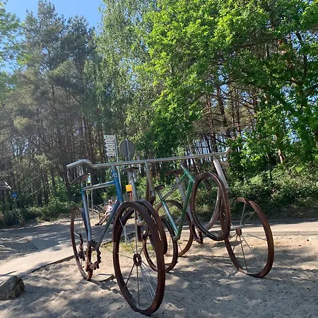 Amberia База отдыха Грзибово