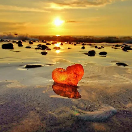 Amberia Parque de vacaciones