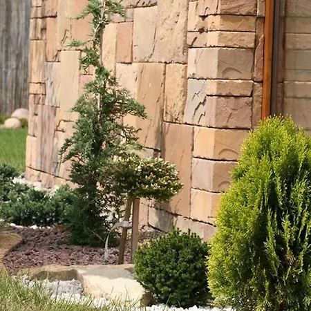 Amberia 3* Грзибово