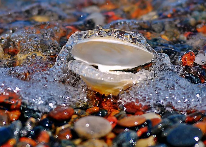 База отдыха Amberia 3*