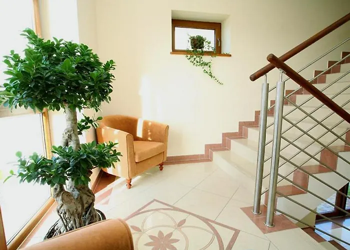 Amberia Грзибово